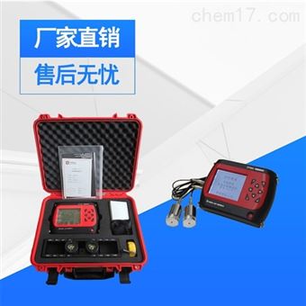 ZT502混凝土裂缝深度检测测试仪